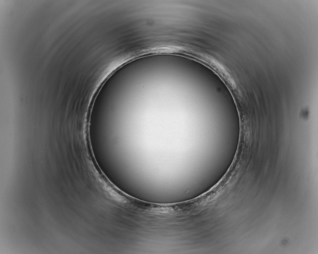 X0000099491186200805291100