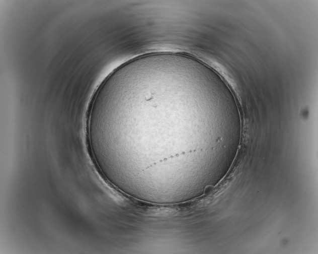 X0000099491187200805291100