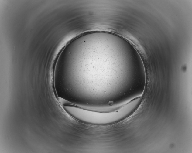 X0000099491188200805291100