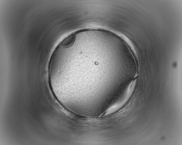 X0000099491191200805291100