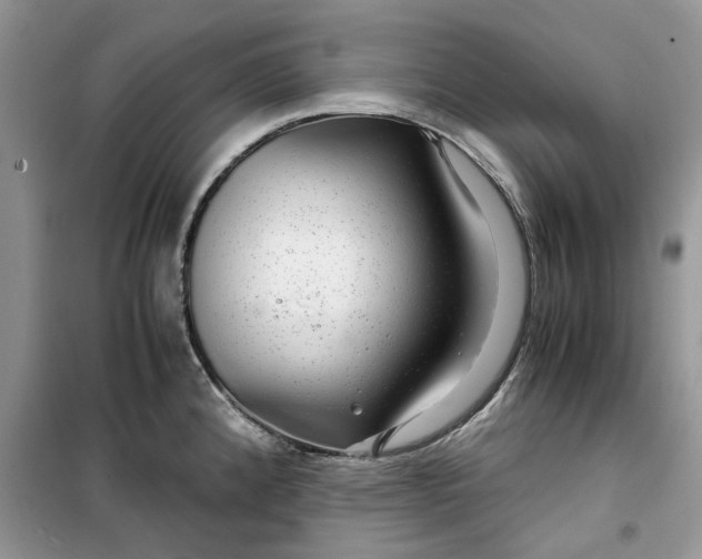 X0000099491192200805291100