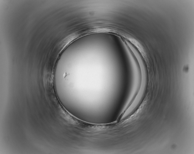 X0000099491193200805291100