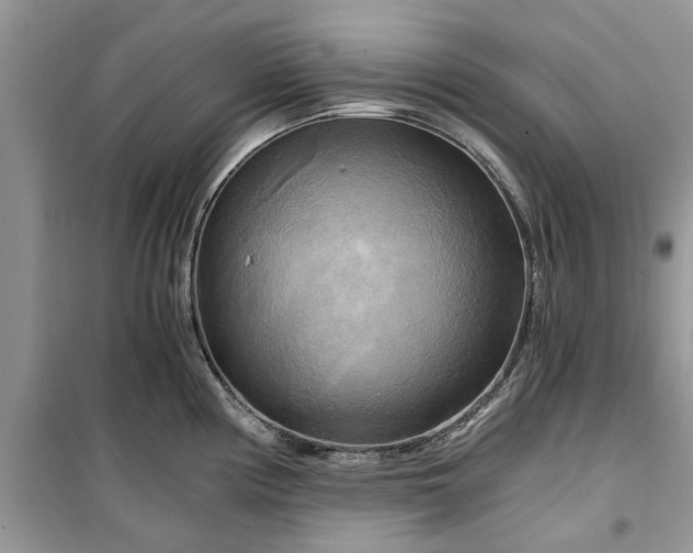 X0000099491194200805291100