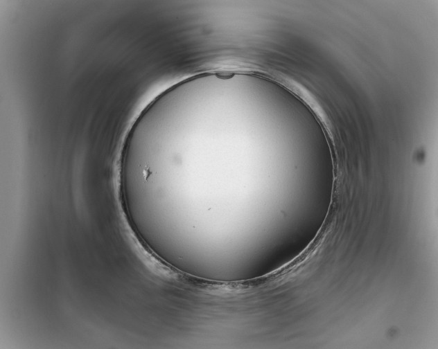 X0000099491195200805291100