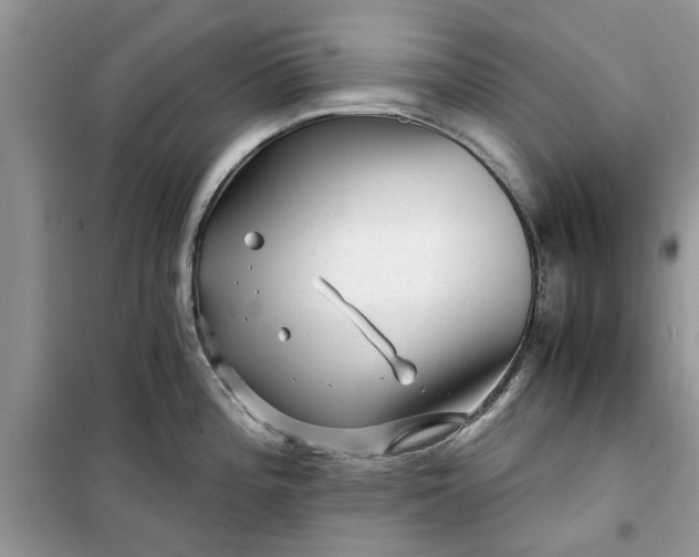 X0000099491196200805291100