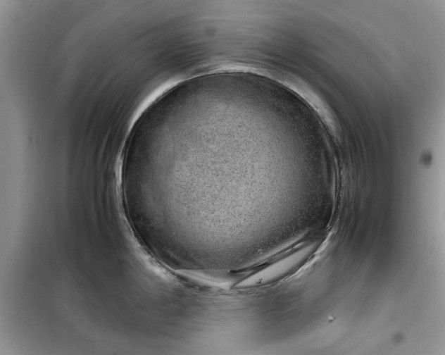 X0000099491198200805291100