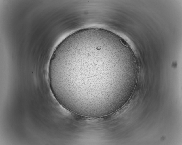 X0000099491199200805291100