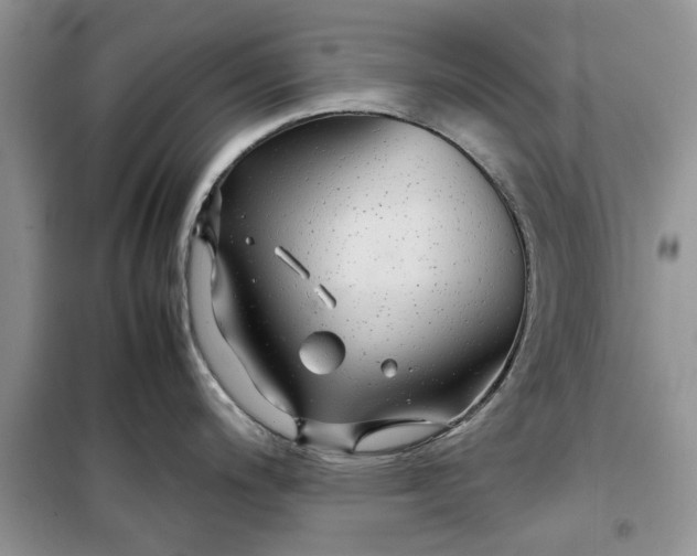 X0000099491200200805291100