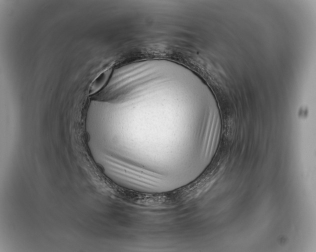 X0000099491201200805291059