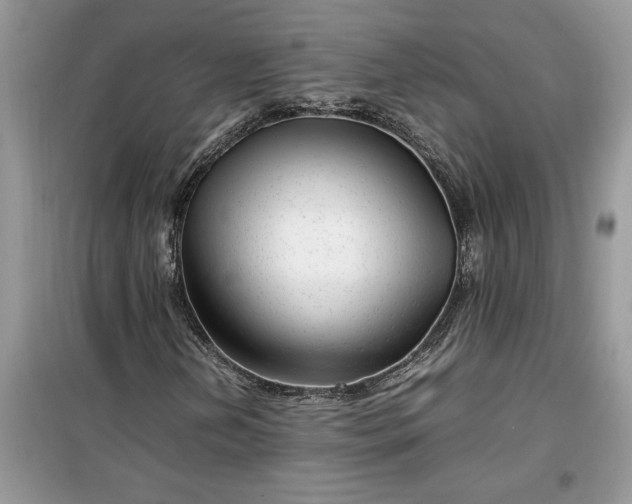 X0000099491202200805291059