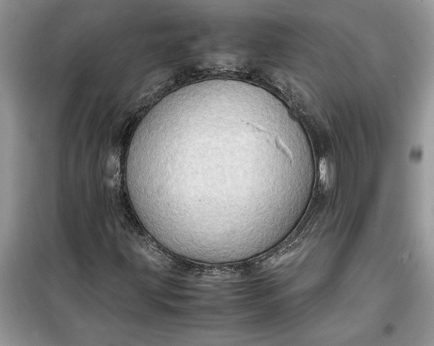 X0000099491203200805291059