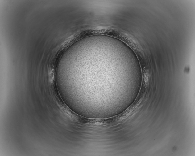 X0000099491204200805291059