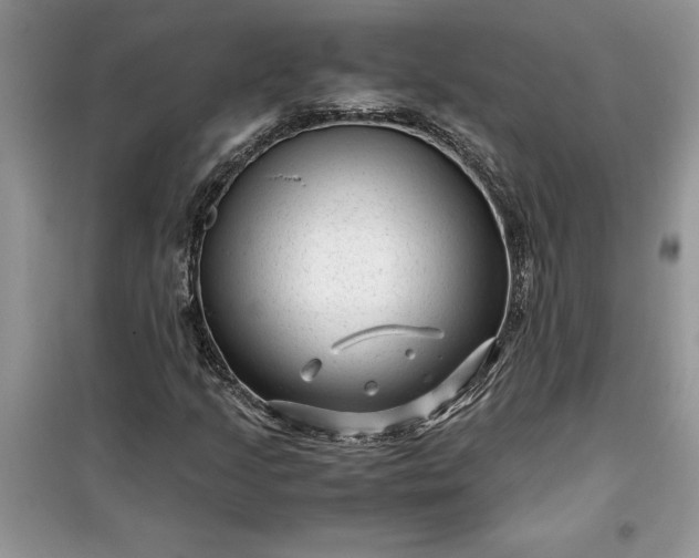 X0000099491205200805291059