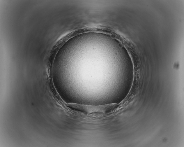 X0000099491206200805291059