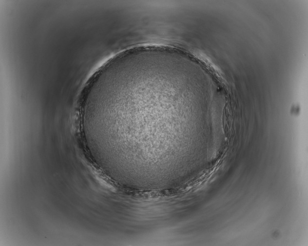 X0000099491208200805291059