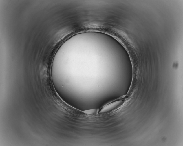 X0000099491209200805291059