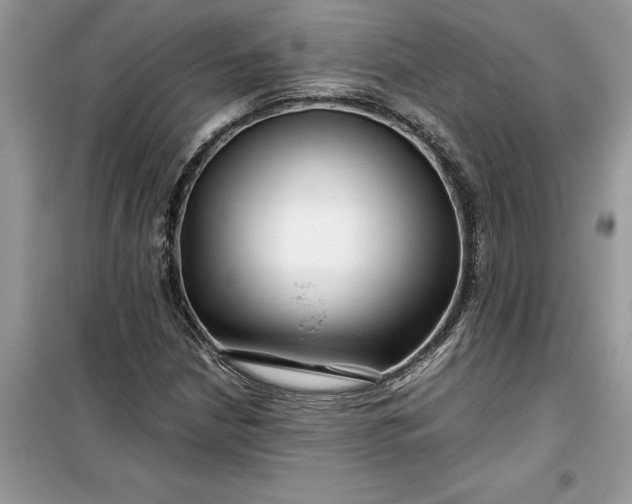 X0000099491210200805291059