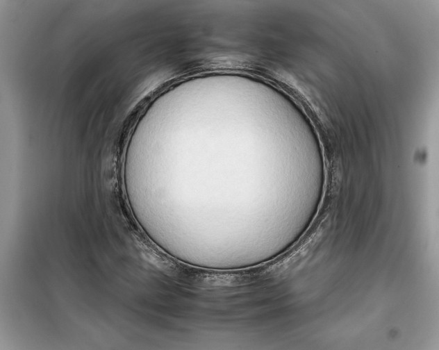 X0000099491211200805291059