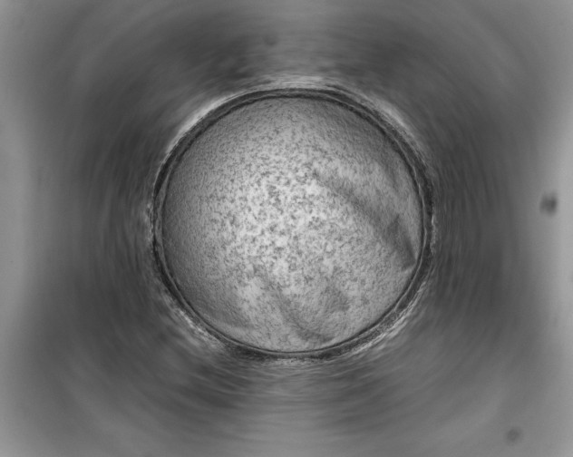 X0000099491212200805291059