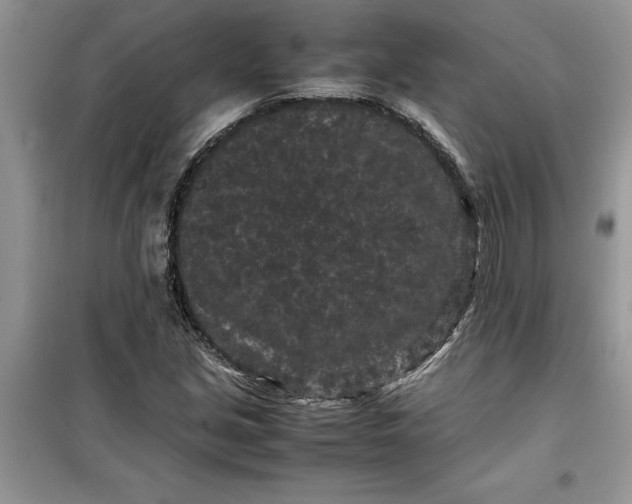 X0000099491213200805291059