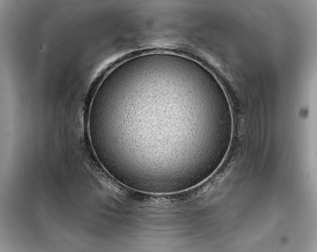 X0000099491214200805291059