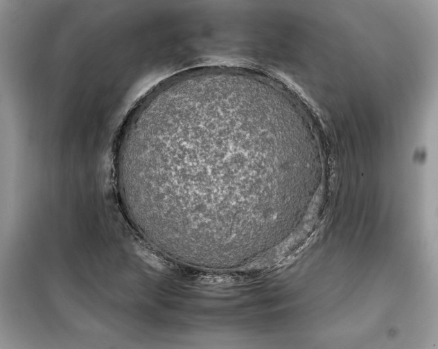 X0000099491215200805291059