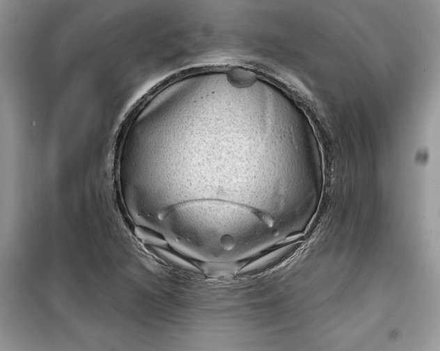 X0000099491216200805291059