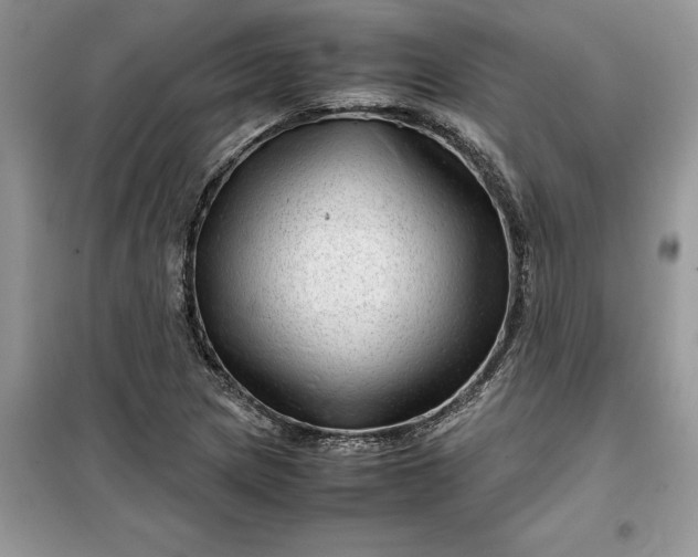 X0000099491217200805291059