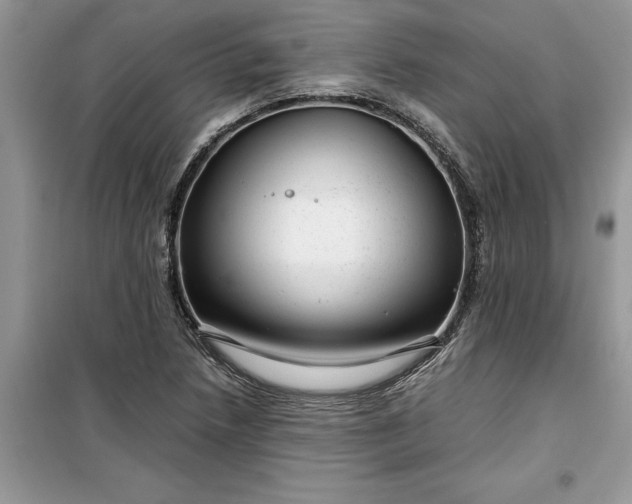 X0000099491218200805291059