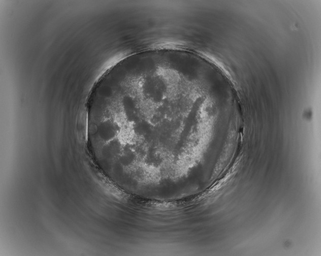 X0000099491219200805291059