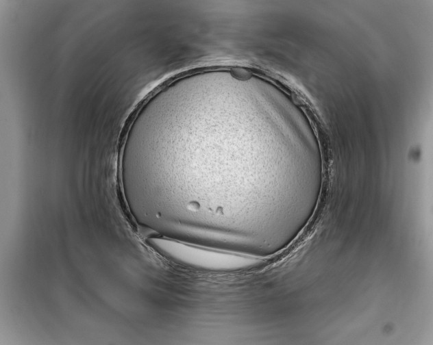 X0000099491220200805291059