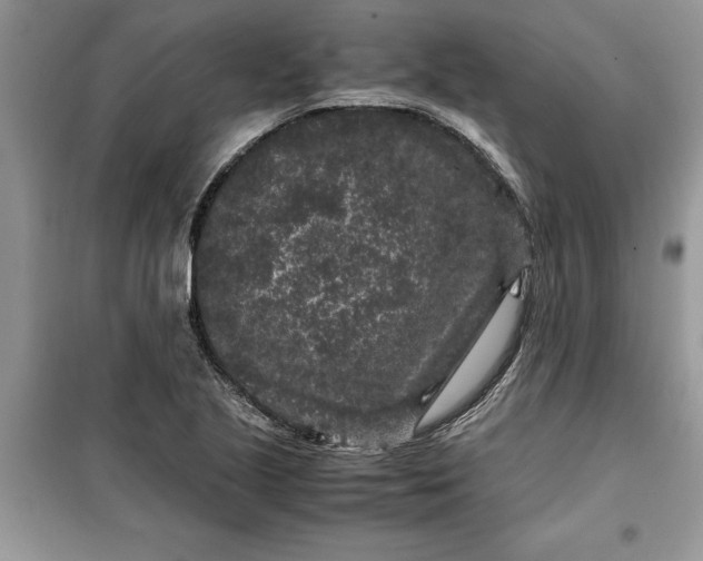 X0000099491221200805291059