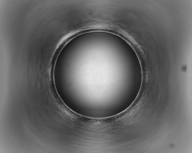 X0000099491222200805291059