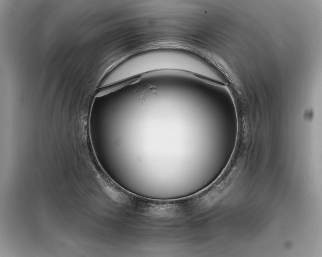 X0000099491225200805291100