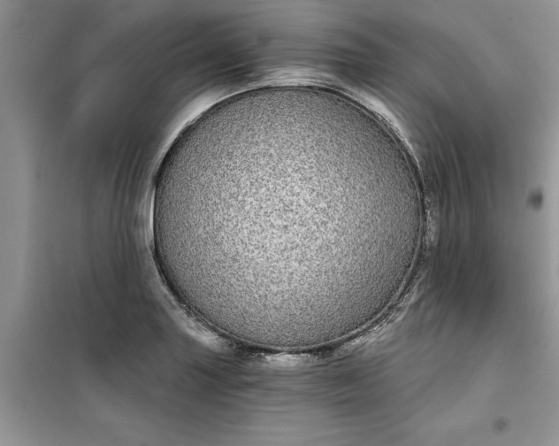 X0000099491227200805291100