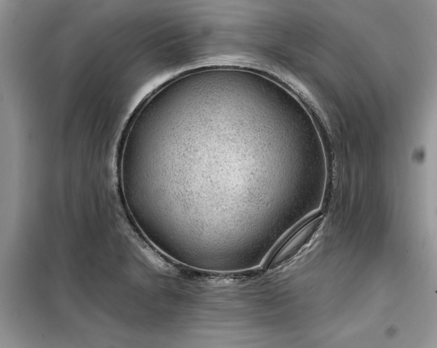 X0000099491230200805291100