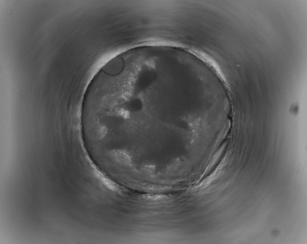 X0000099491231200805291100