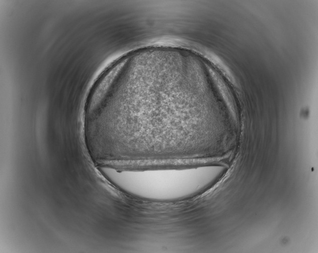 X0000099491232200805291100