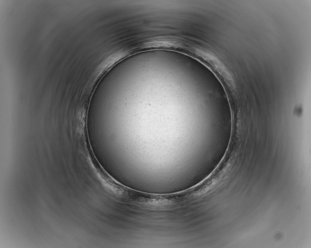 X0000099491233200805291100