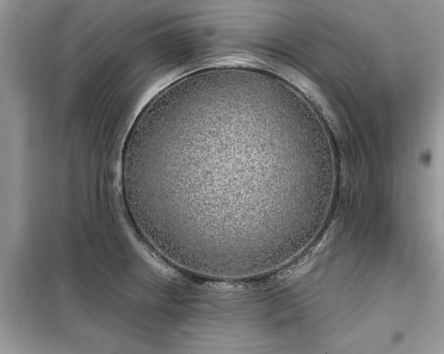 X0000099491234200805291100