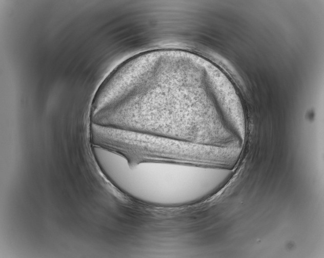 X0000099491236200805291100