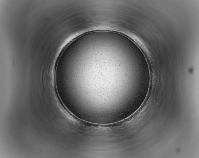 X0000099491238200805291100