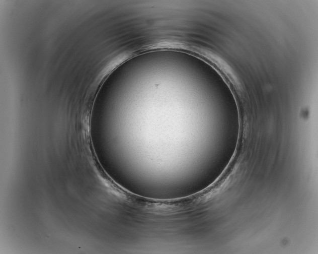 X0000099491241200805291100