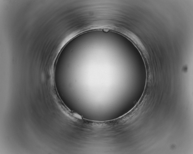 X0000099491242200805291100