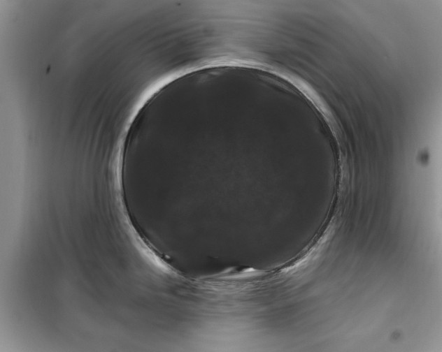 X0000099491246200805291100