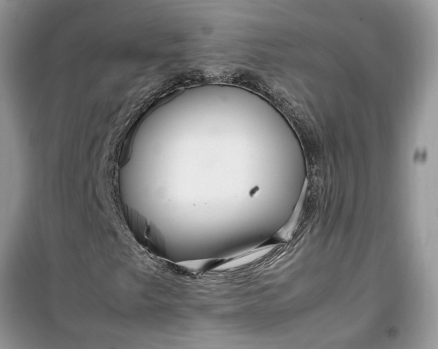 X0000099491249200805291059