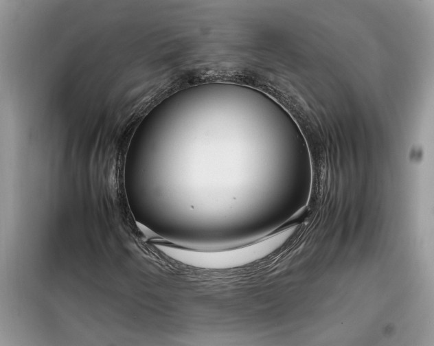 X0000099491250200805291059