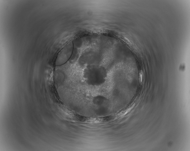 X0000099491251200805291059