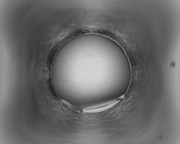 X0000099491253200805291059