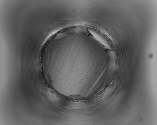 X0000099491256200805291059